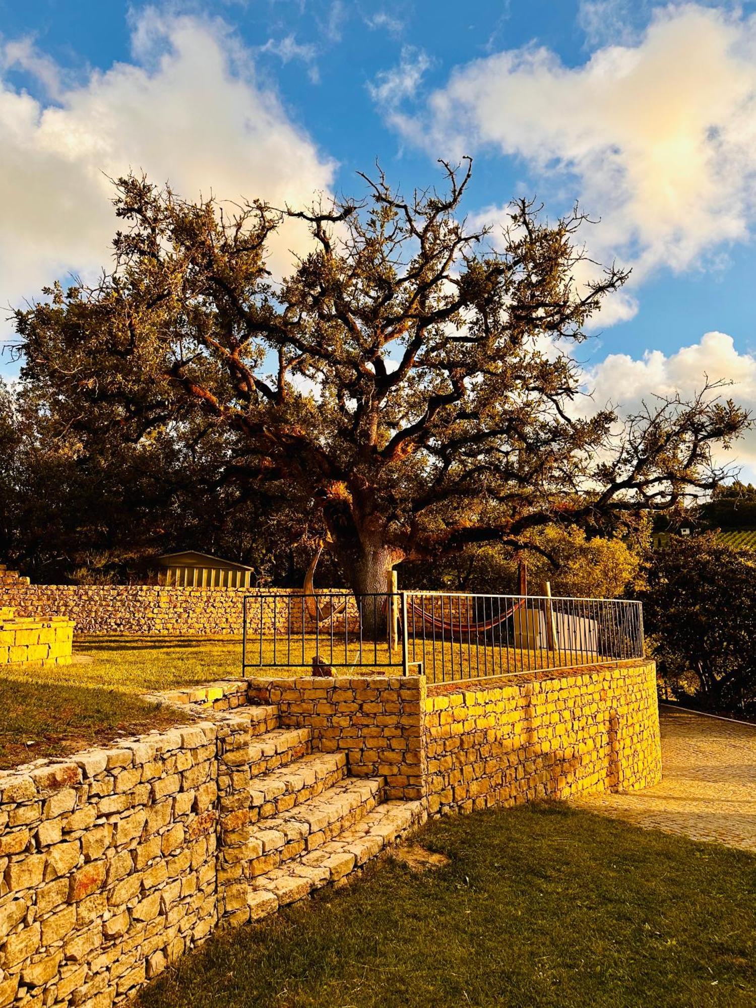 Villa Quinta Boa Vida